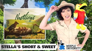 Nestlings🪹🦜- Worker placement bidding😃 with dice🎲