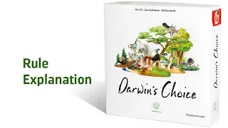Darwin's Choice - Rule Explanation