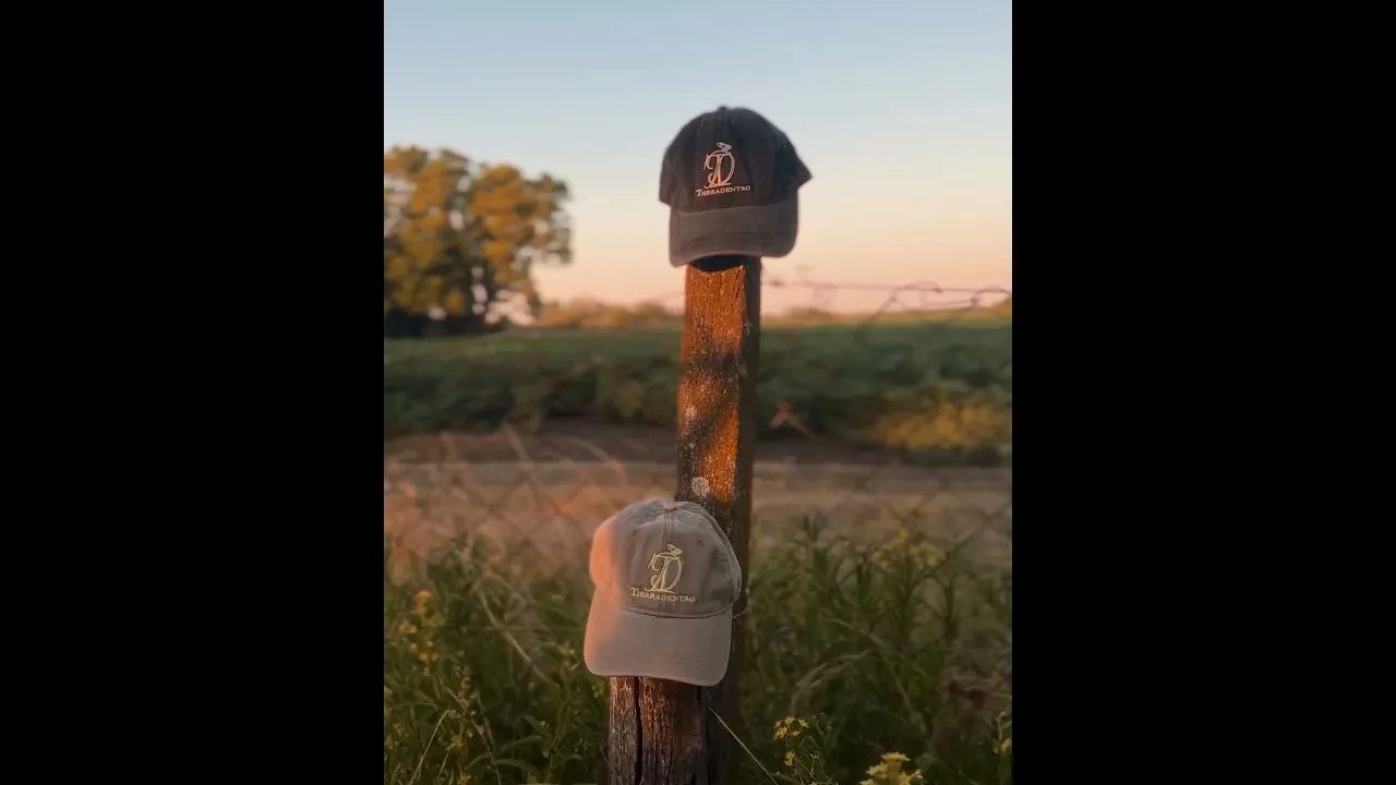 Video de Tierradentro