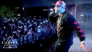 Daddy Yankee - Isla del Padre, Texas (2014) [Live]