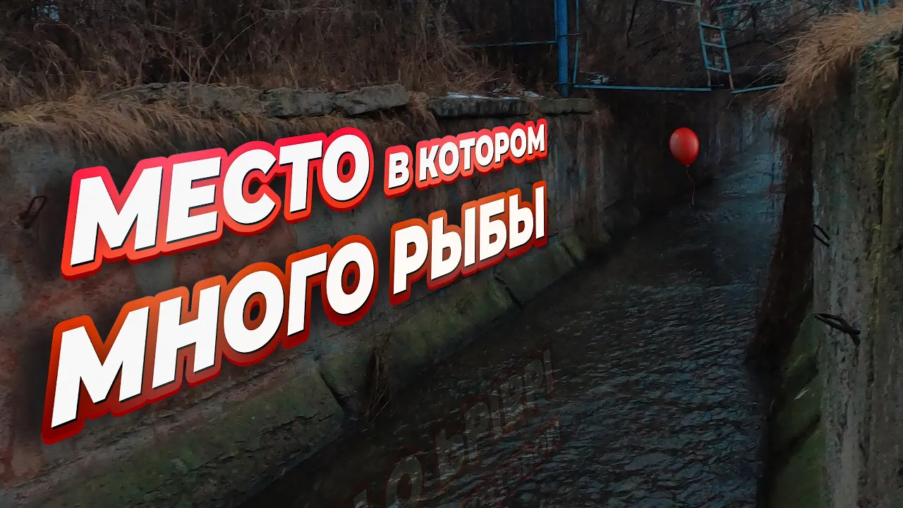 rybalka
