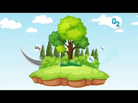 Tanque + Green 310L Acqualimp