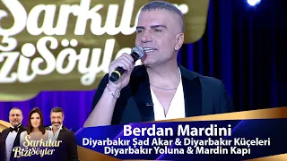 Berdan Mardini - Diyarbakır Şad Akar & Diyarbakır Küçeleri & Diyarbakır Yoluna & Mardin Kapı