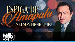 Espiga De Amapola, Nelsón Enríquez - Video