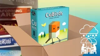 Unboxing: CuBirds