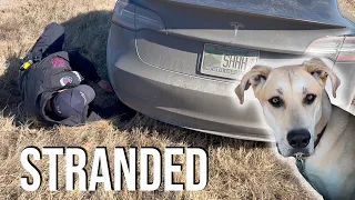 Tesla Model 3 Performance Road-trip Disaster!