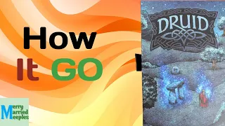 Druid (Darkness) Review - Progressive Bidding In A Small Package!