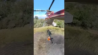 How Helicopters Fight Wildfires! 🔥 #helicopters #fires #wildfires