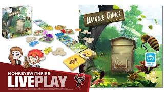 WAGGLE DANCE || BRIGHT EYE GAMES || BOARD GAME LIVE PLAY