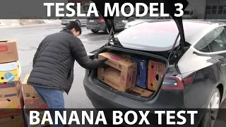 Tesla Model 3 banana box test