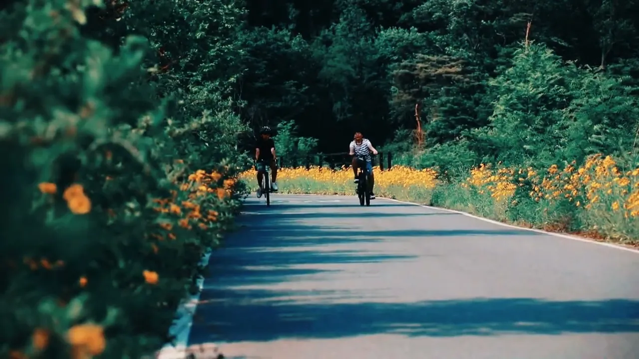 Video de BikeWay - Bicicletas, Peças e Acessórios