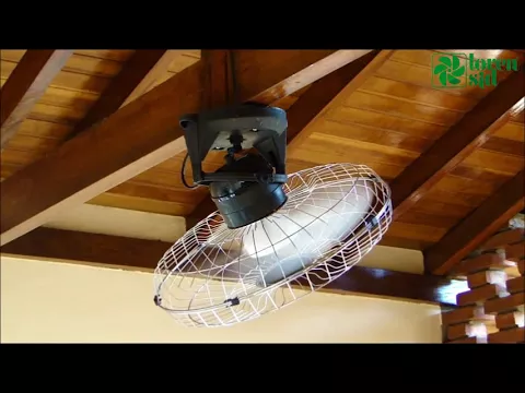 Ventilador de Teto sem Luminária 3 pás Preto Orbital Loren Sid 220V