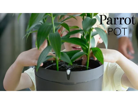 Video zu Parrot Smart-Topf Pot porzellanweiß