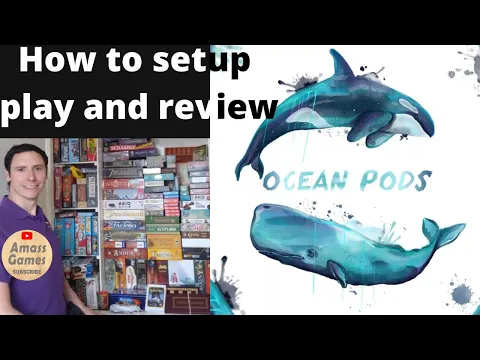 How to setup play and review