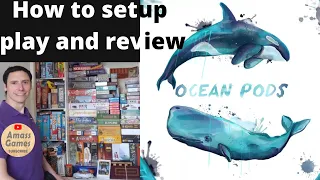 How to setup play and review