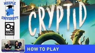 Cryptid Board Game – How to Play & Setup (CONCISE rules, so you can drop the rulebook!)