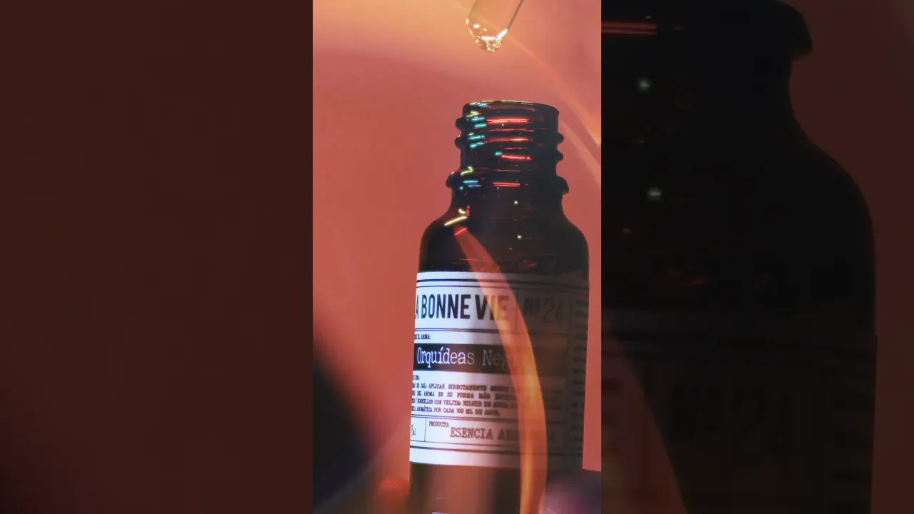 Video de LA BONNE VIE OFICIAL