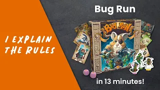 I explain the rules of BUG RUN in less than 13 minutes!