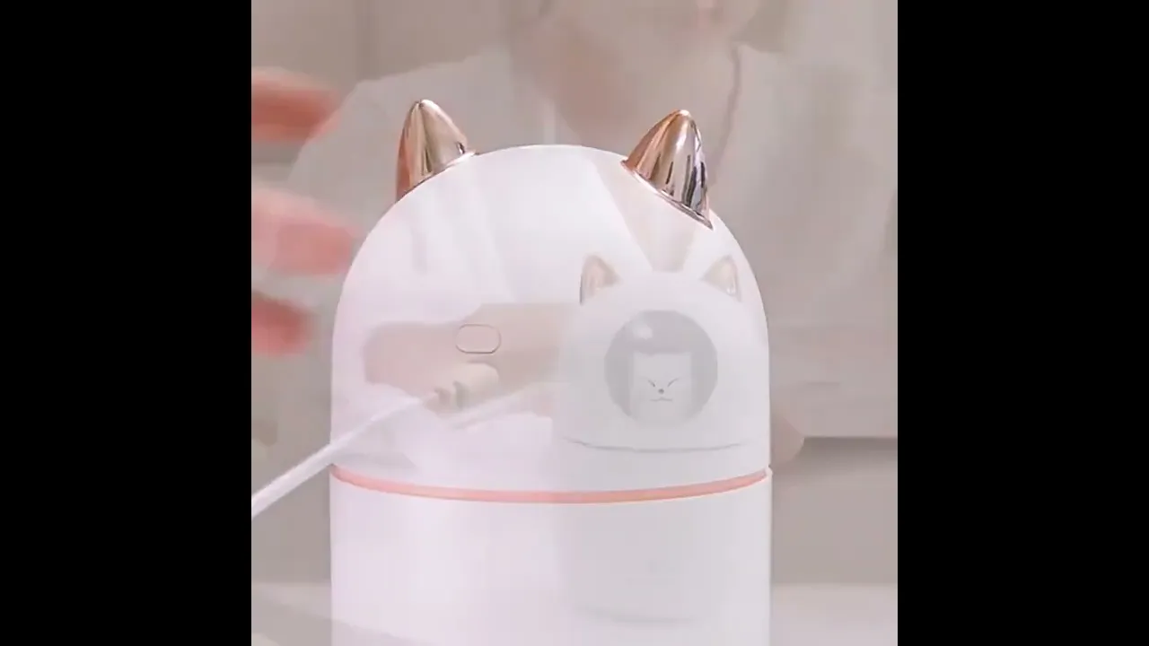 Video de Loja Variaê