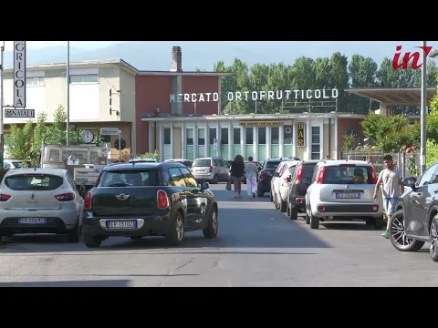 <span style="color:var(--accent)">Video:</span> Lucca Comics, sold out i parcheggi: 600 posti auto in più al Foro Boario