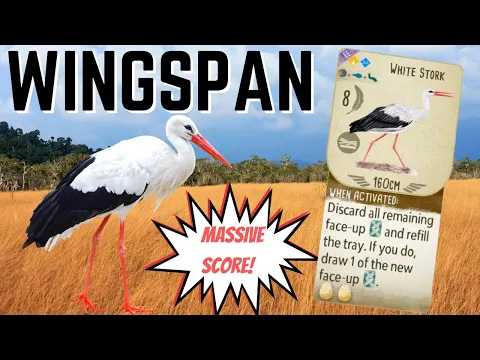 Wingspan Gameplay: Full Power White Stork (Timelapse)