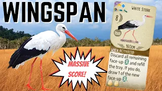 Wingspan Gameplay: Full Power White Stork (Timelapse)