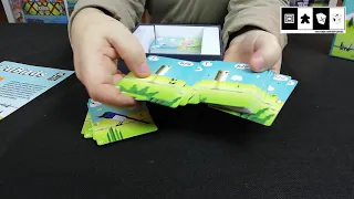 Cubirds - Unboxing