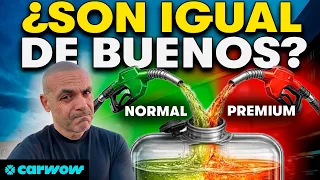 NUNCA JAMÁS VOLVERÁS A TENER DUDAS: ¿QUÉ DIFERENCIA HAY ENTRE CARBURANTES y QUÉ PASA SI LOS MEZCLAS?