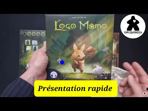 présentation rapide du jeu LOCO MOMO