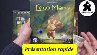 présentation rapide du jeu LOCO MOMO