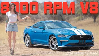 Used Bargain! // Tuned 2019 Ford Mustang GT Review