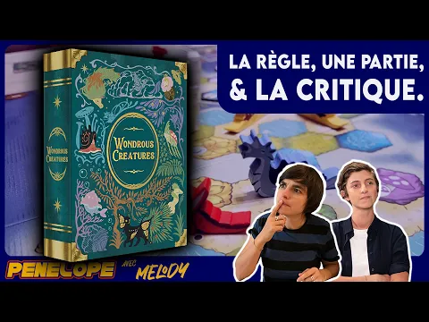 WONDROUS CREATURES - La règle, la partie, la critique - C'est très joli, mais pas que !