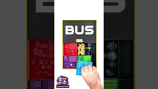 Bus Complete Edition - Insert - ChihuahuaPrint3D