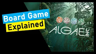 Quick Overview of Algae, Inc