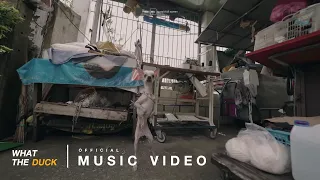 หมา - Pae Arak