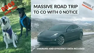 Pt. 1/2 | Model 3 | Massive Spontaneous Road Trip Across the Country!