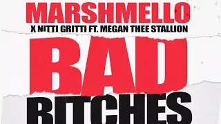 Marshmello x Nitti Gritti - Bad Bitches (Feat. Megan Thee Stallion) [Official Lyric Video]