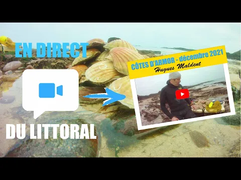 Vignette de la vidéo