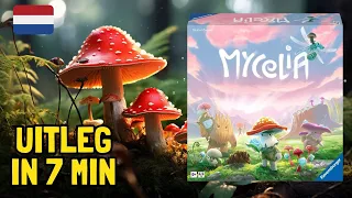 Mycelia - Uitleg (NL)