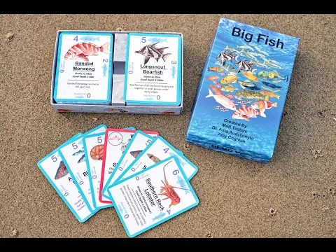 Big Fish Card Game Promo 