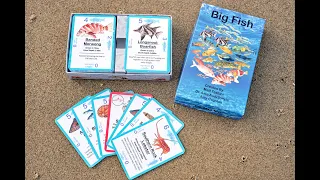 Big Fish Card Game Promo