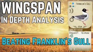 Risky Decisions and Fighting For Round Goals: Wingspan Board Game Strategy & Gameplay