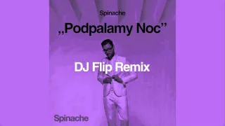Spinache - Podpalamy Noc (DJ Flip Remix) [Audio]