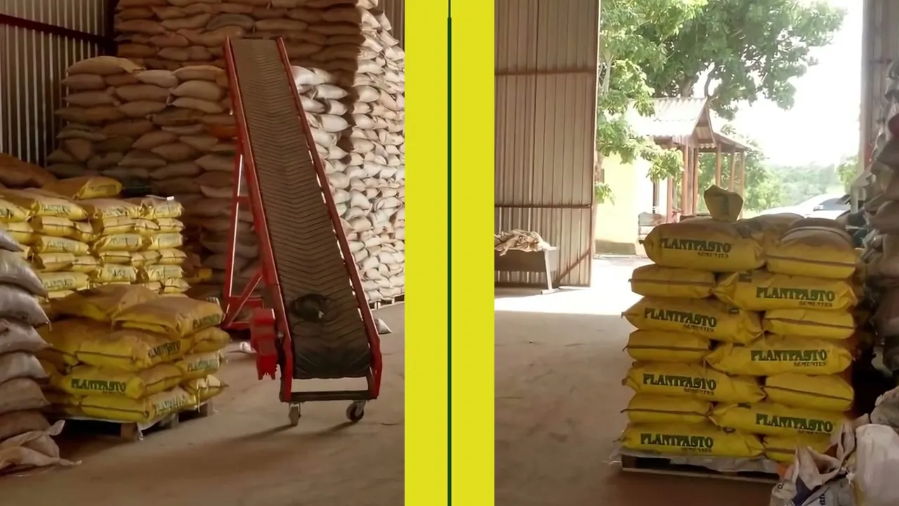 Vídeo de PLANTPASTO