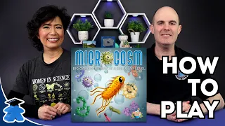 Microcosm - How to Play. Clear, Concise, Complete Board Game Tutorial.