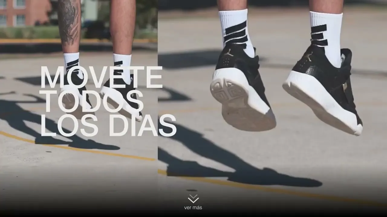 Video de BEARS