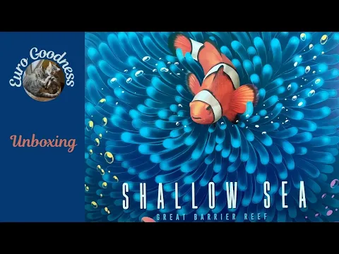 Shallow Sea Board Game Unboxing