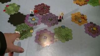 Wizards 5 & wrap