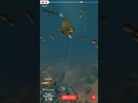 Відео Rapala Fishing