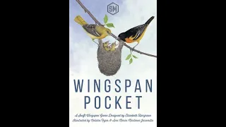 Dad vs Daughter - Wingspan Pocket - Unboxing